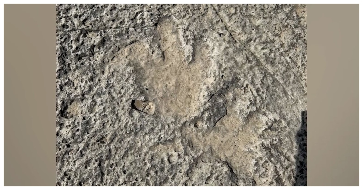 আবিষ্কৃত হয়েছে ১১ কোটি ৫০ লাখ বছর পুরনো প্রাচীন ডাইনোসরের পায়ের ছাপ। ছবি: এবিসি নিউজ